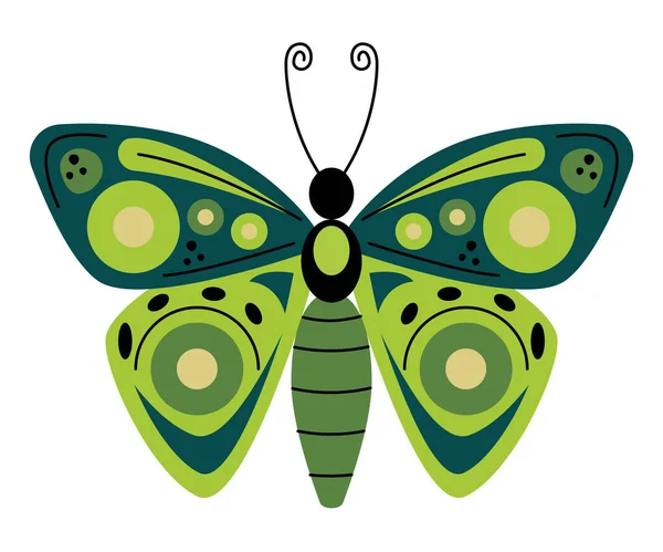 Şirin yeşil kelebek — Stok Vektör