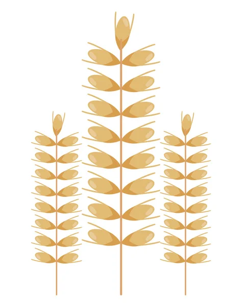Trois pointes de blé — Image vectorielle