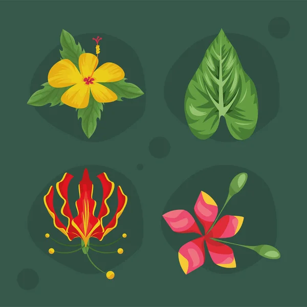 Vier exotische tropische Pflanzen — Stockvektor