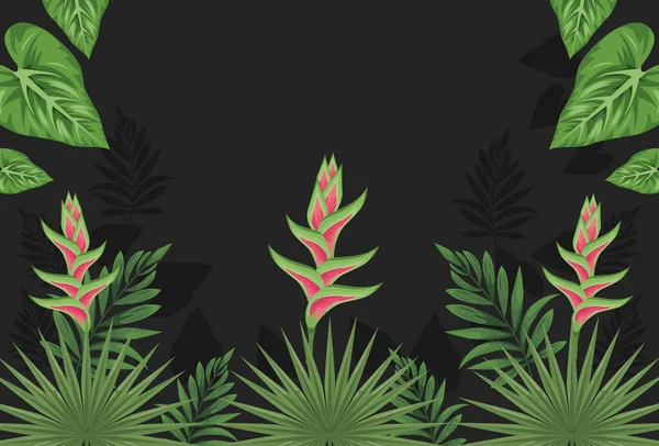 Exotiska tropiska växter ram — Stock vektor