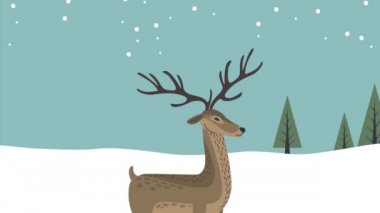 Kar manzarasında vahşi şirin ren geyikleri