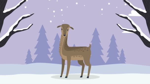 Сцена со снегом с милым оленем — стоковое видео