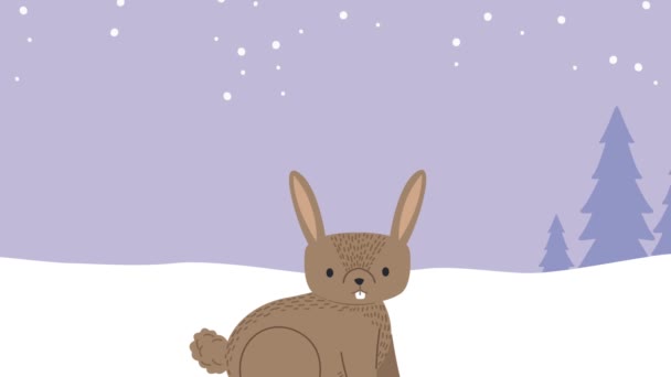 Милий кролик відповідає будинкам сніговий пейзаж сцени — стокове відео