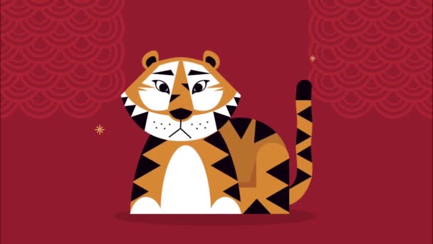 Animación de año nuevo chino con tigre — Vídeo de stock