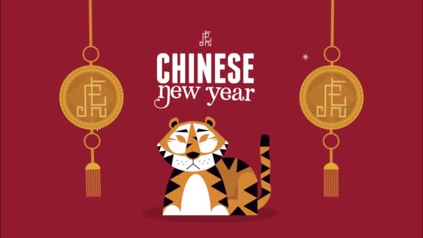Chinese new year animation with tiger and decorations — Vídeo de Stock