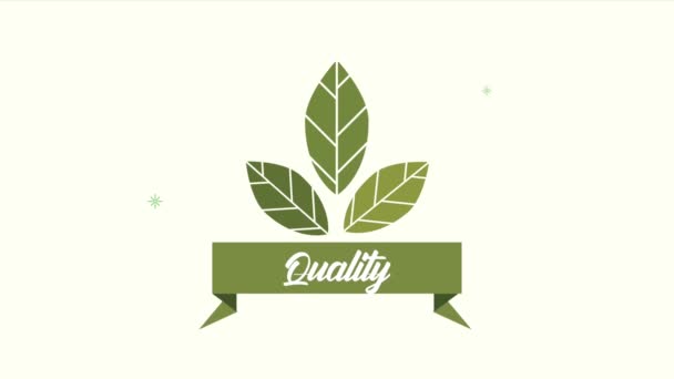 Quality organic product emblem with leafs — Stock Video