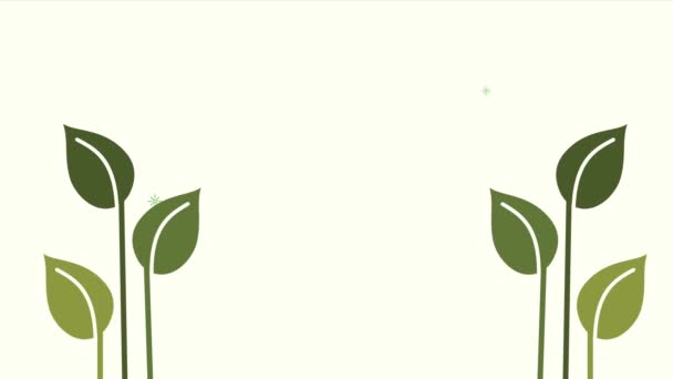 Leafs plants nature green animation — Stock Video