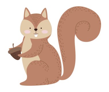 Sevimli sincap hayvanı.