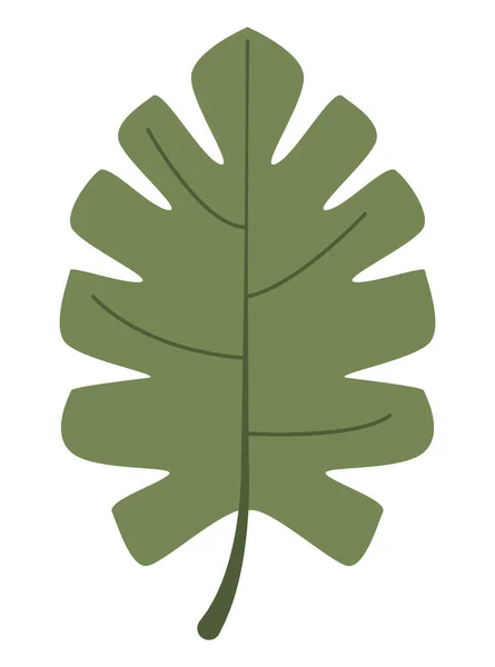 Palmier à feuilles tropicales — Image vectorielle