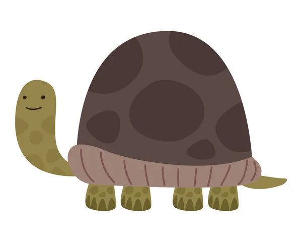 Lindo animal tortuga — Archivo Imágenes Vectoriales