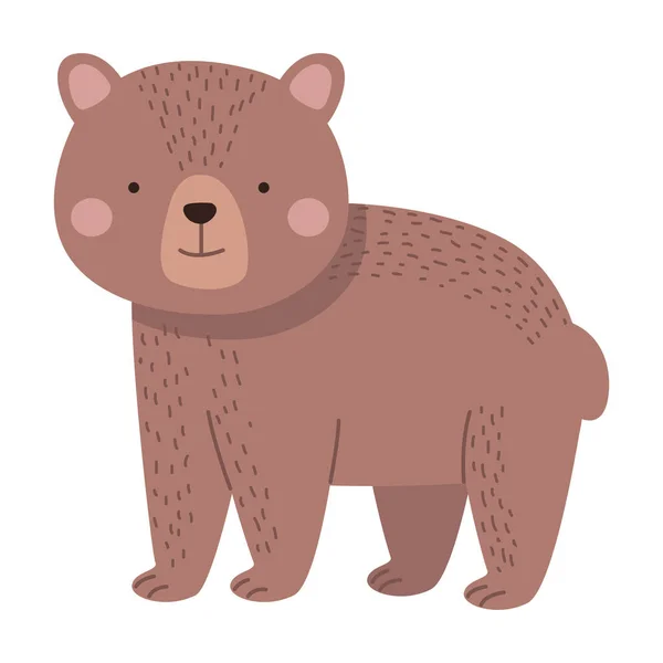 Animal urso bonito — Vetor de Stock