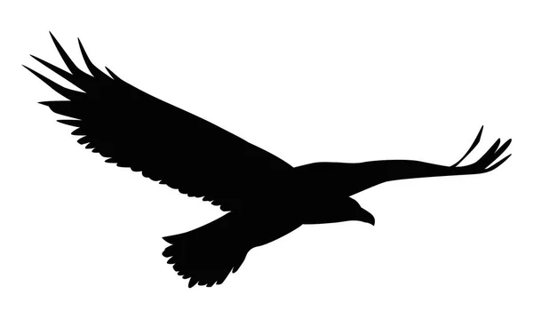 Silhueta voadora de águia — Vetor de Stock