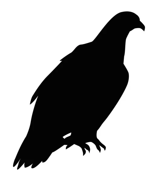 Silhouette d'aigle sauvage — Image vectorielle
