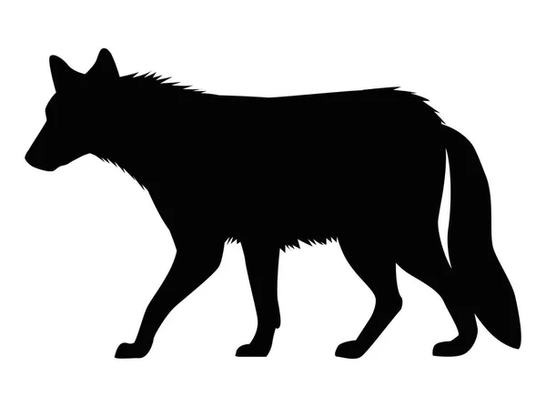 Wilde wolf wandelend silhouet — Stockvector