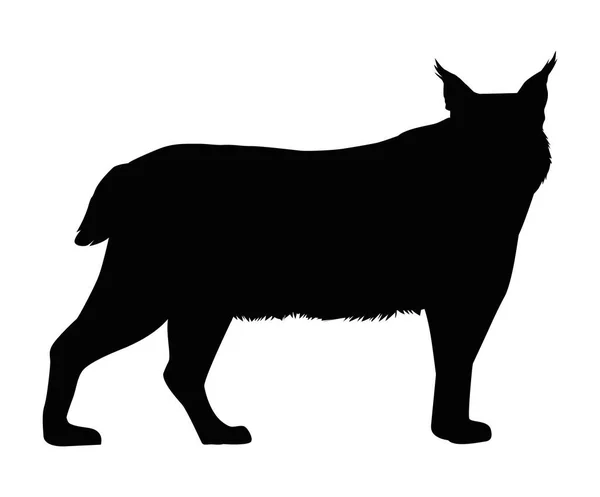 狼黒のシルエット — ストックベクタ