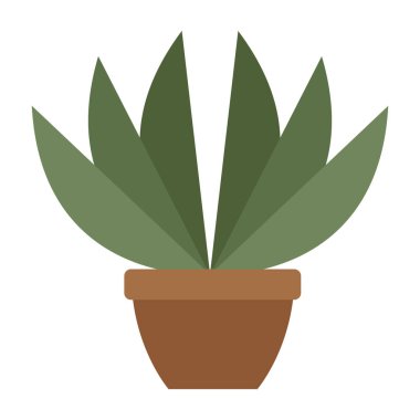 Seramik tencerede houseplant