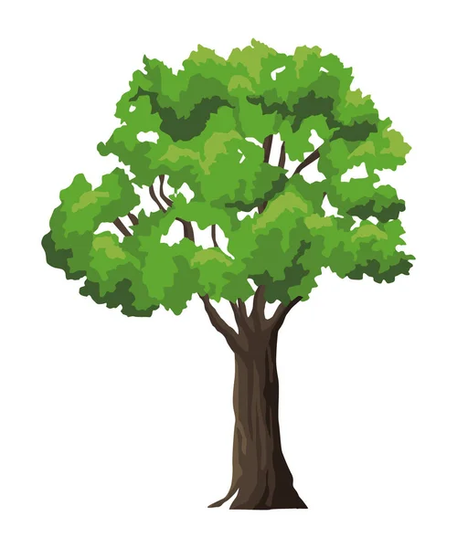Las roślin drzewnych — Wektor stockowy