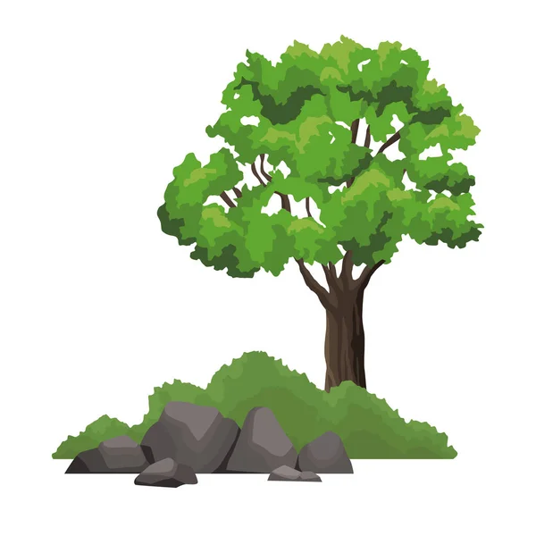 Δένδρων και θάμνων — Διανυσματικό Αρχείο