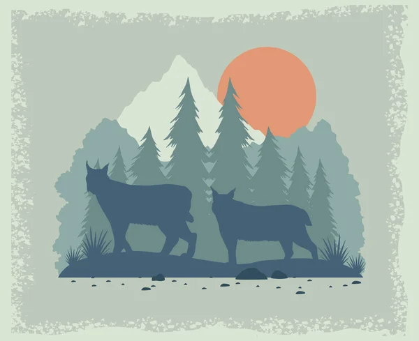 Wild wolves in landscape — Stock Vector