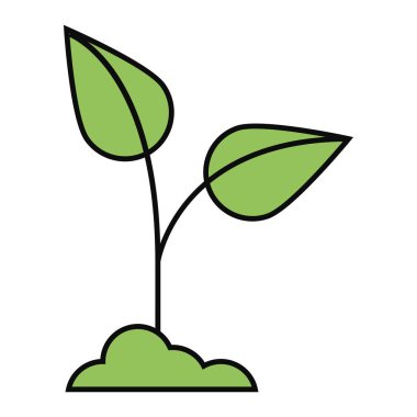 ekoloji yeşil bitkisi