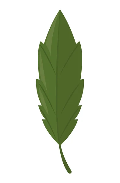 Planta de hoja verde — Vector de stock