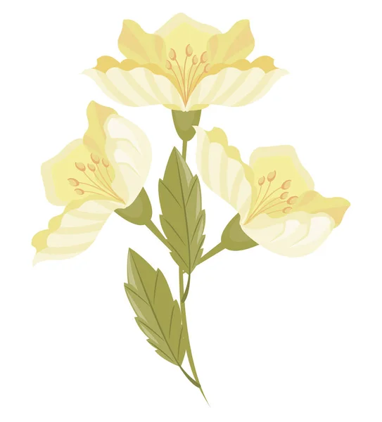 Flor de té amarillo — Archivo Imágenes Vectoriales