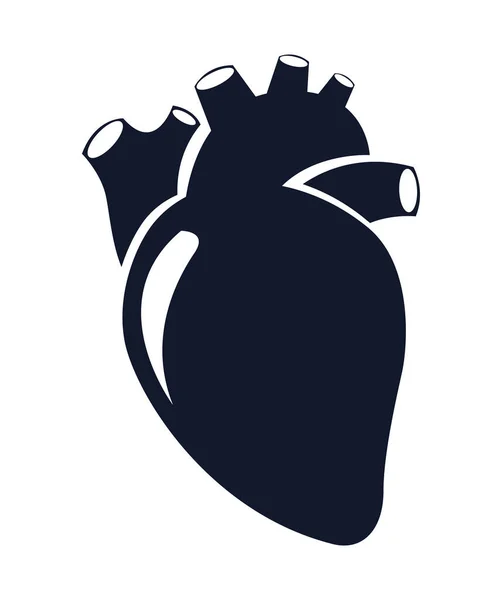 Diseño del corazón humano — Vector de stock