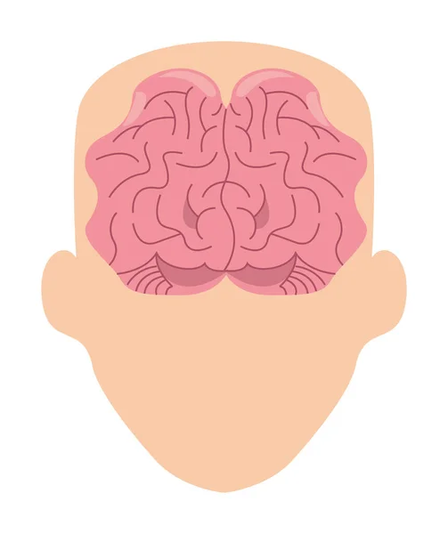 Cérebro na cabeça — Vetor de Stock