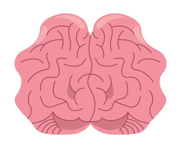 Icône du cerveau rose — Image vectorielle
