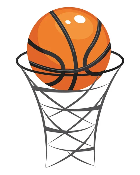 Globo y canasta de baloncesto — Vector de stock