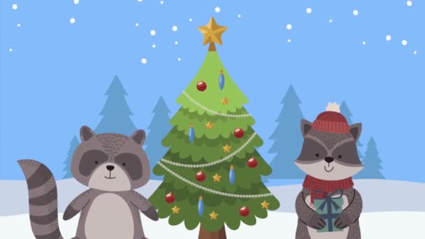 Merry christmas animation with raccoons and tree — Stock Video