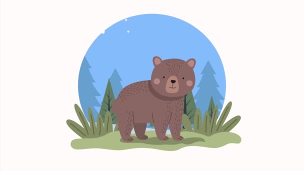 Medvěd v krajině zimní období — Stock video