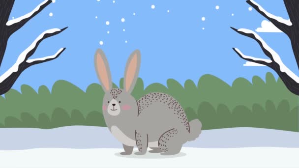 Conejo en el paisaje de nieve temporada de invierno — Vídeo de stock
