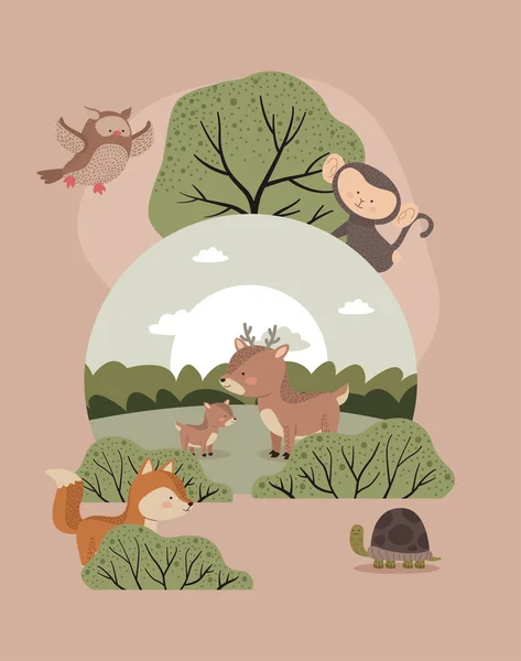 Six cute woodland animals — Stock Vector