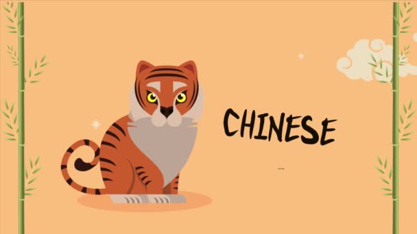 Ano novo chinês tigre com letras — Vídeo de Stock