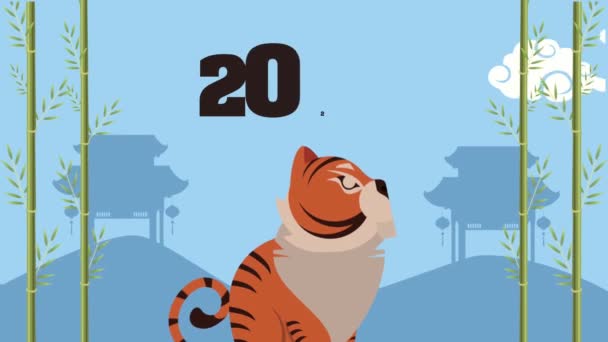 Chinese new year tiger and number in bamboo — Stock Video