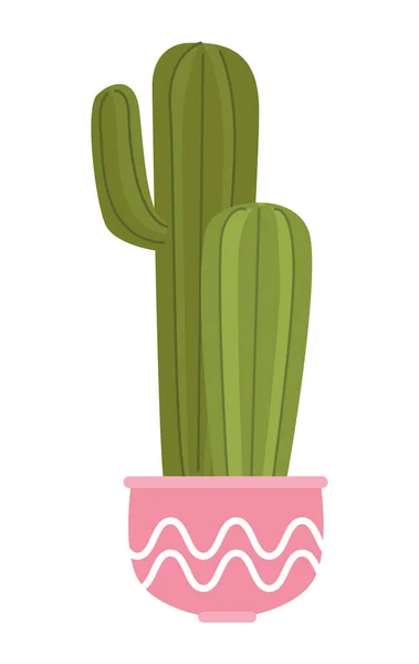 Cactu de planta de interior en maceta rosa — Vector de stock