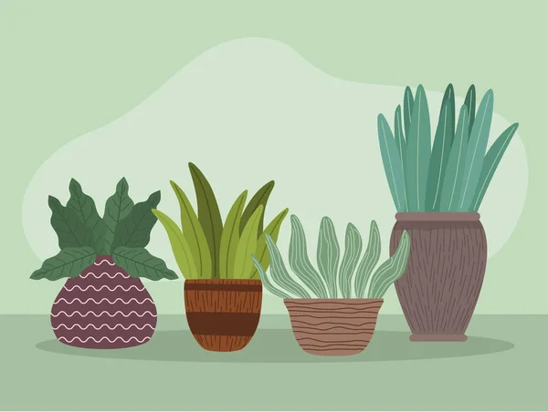 Les plantes d'intérieur jardinage quatre icônes — Image vectorielle