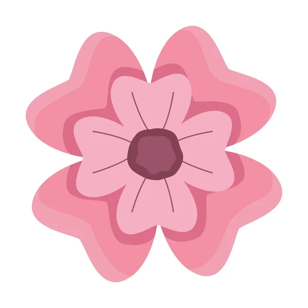 핑크 꽃 봄 — 스톡 벡터
