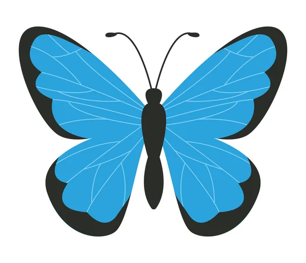 Papillon bleu mignon — Image vectorielle