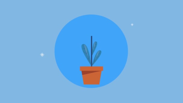Bitki sikkeleriyle finansal iş animasyonu — Stok video