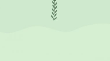 Çiçek desenli bahar sezonu animasyonu