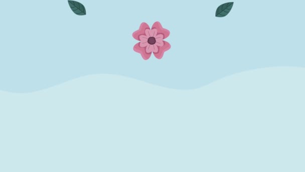 Sezon wiosenny animacja z różowymi kwiatami wzór — Wideo stockowe