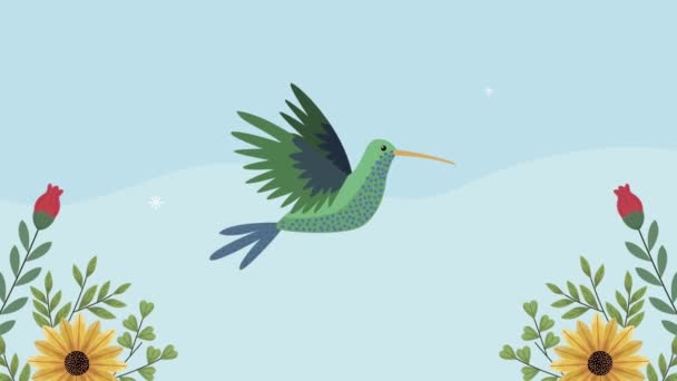 Animation du printemps avec colibri — Video