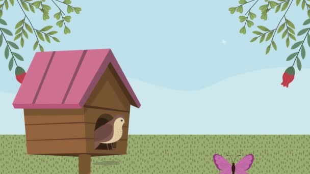 Kuş evde ve kelebekler bahar sahnesinde — Stok video