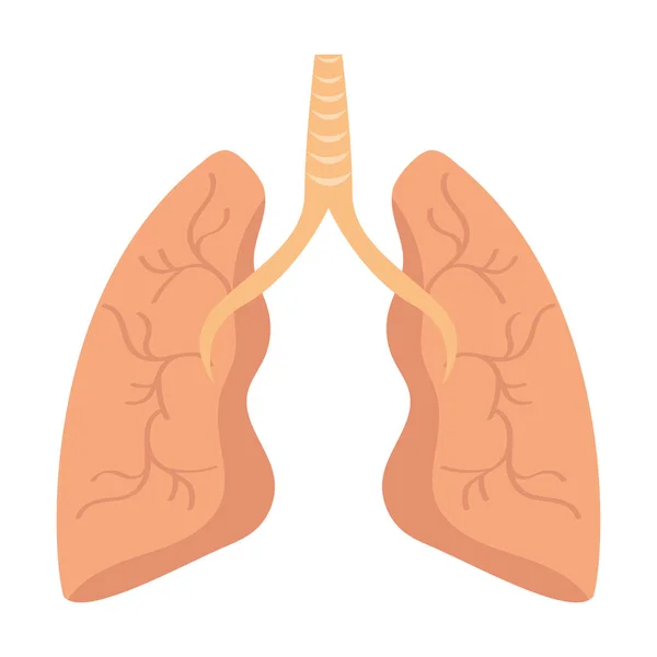 人間の肺のデザイン — ストックベクタ