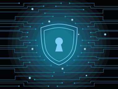 siber güvenlik kalkanı
