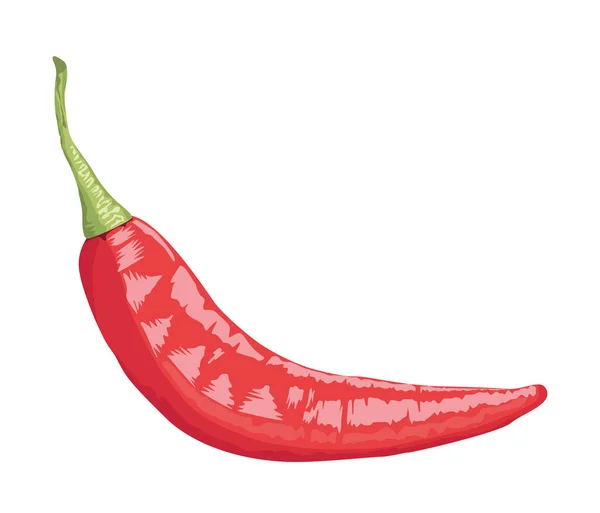 Healthy chili pepper vegetable — Stock Vector