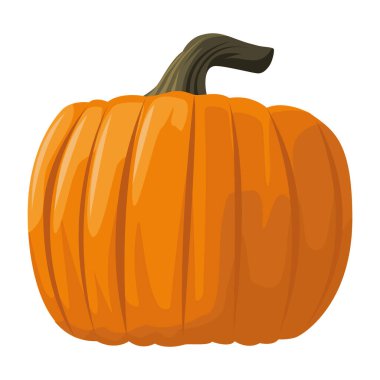 sağlıklı balkabağı sebzesi