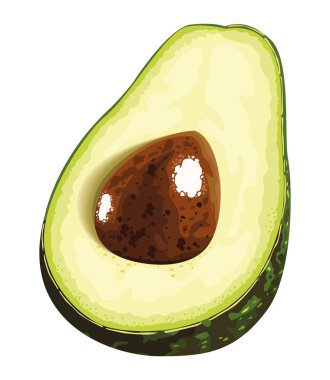 sağlıklı avokado sebzesi